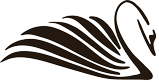 Black Swan Massage Logo